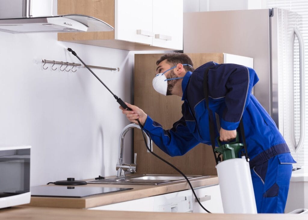 pest control specialist at work in the kitchen in the USA