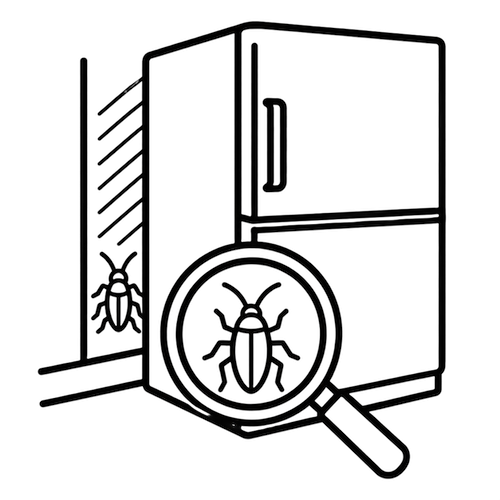 Check behind appliances