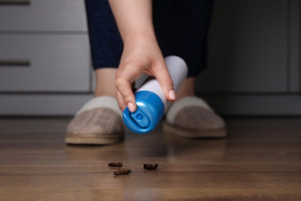 Woman spraying insecticide onto cockroaches, closeup