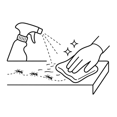 Wipe ant trails